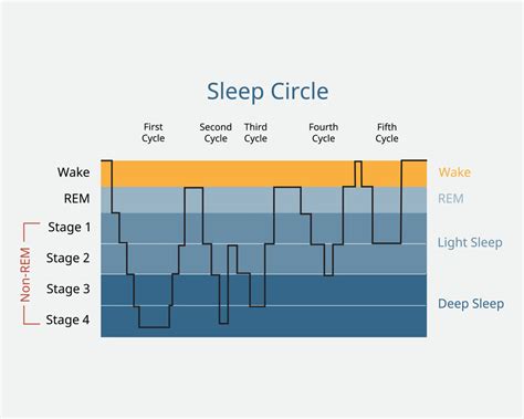 Chu kỳ giấc ngủ là gì? Cách tính chu kỳ giấc ngủ chính xác | NIN House