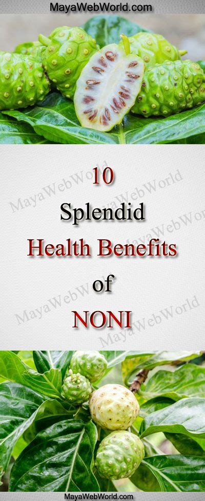 10 Splendid Health Benefits of Noni | Fruit health benefits, Fruit ...