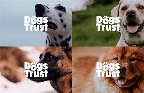 Dogs Trust | Behance