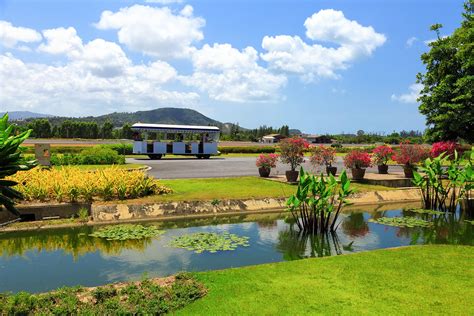 Samui International Airport - What You Need to Know About Koh Samui Airport - Go Guides