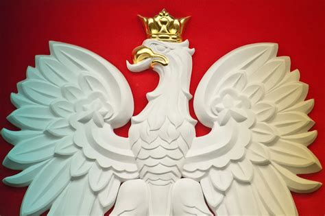 The Eagle Has Landed! Origins of the Polish National Emblem - 3 Seas Europe