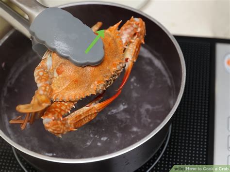 4 Ways to Cook a Crab - wikiHow