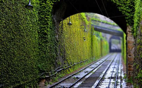 Train track in between tunnel, photography, railway, tunnel, green HD wallpaper | Wallpaper Flare