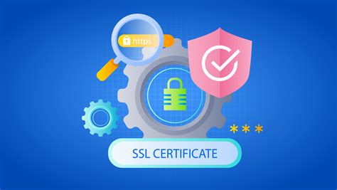 The Importance of E-commerce Website Security and SSL Certificates