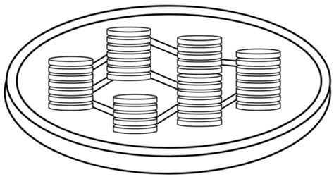 Chloroplast Worksheet