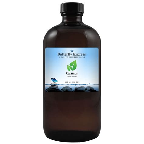 Calamus Essential Oil – Butterfly Express Quality Essential Oils