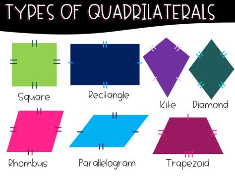 Review Of Quadrilateral Classification Worksheet Answer Key Ideas ...