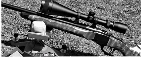 Best Scopes For 22-250 Rifles 2019: Vortex, Leupold, Nikon - RangetoReel