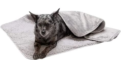 The Top 10 Best Dog Winter Blankets to Keep Your Furry Friend Warm This ...