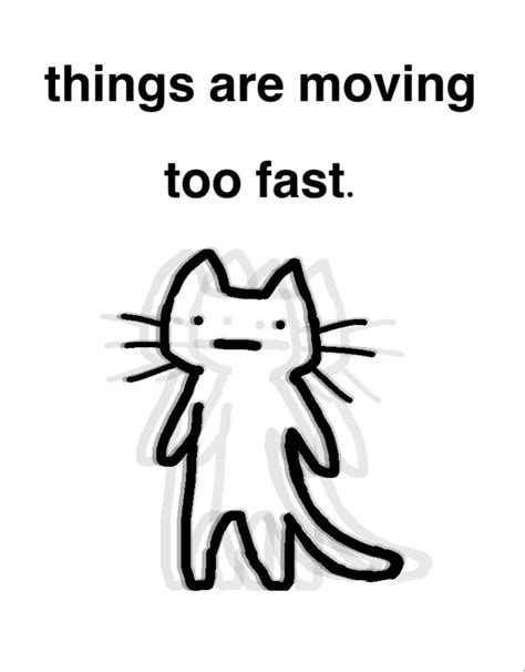 silly cat is moving too fast and having a mental breakdown Memes ...