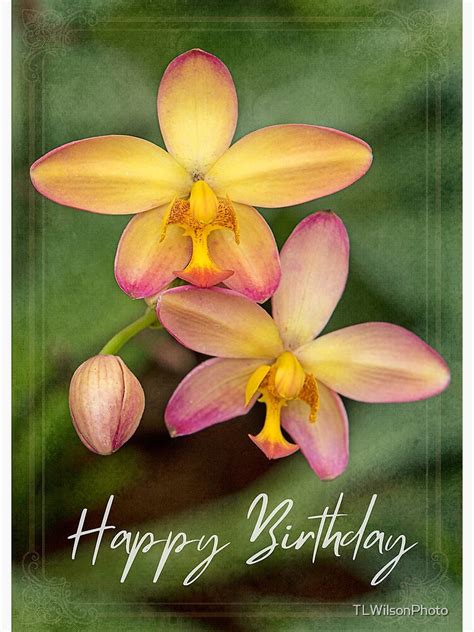 Happy Birthday Wishes With Orchids : Sending birthday greetings has become a necessary tradition ...