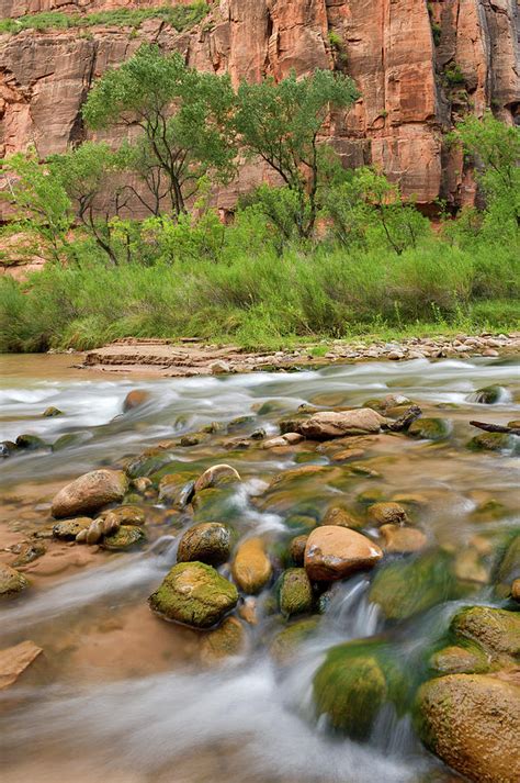 Zion National Park River Walk 8 Photograph by Dean Hueber - Fine Art America