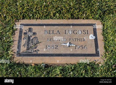 Bela Lugosi grave at Holy Cross Catholic Cemetery, Culver City, Los ...