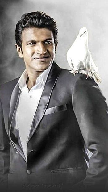 Rajkumar Rao, Actor HD phone wallpaper | Pxfuel