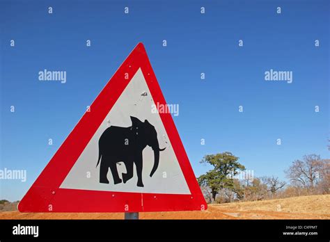 Safari sign elephant hi-res stock photography and images - Alamy