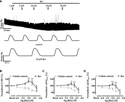 Frontiers | Berberine Mediated Positive Inotropic Effects on Rat Hearts via a Ca2+-Dependent ...