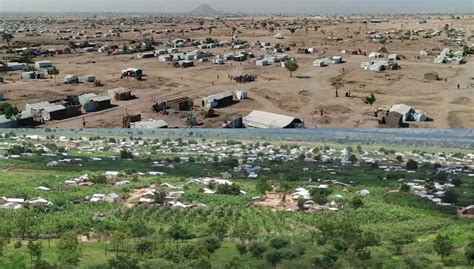 Refugees in Cameroon Have Turned a Treeless Desert Camp Into a Thriving Forest – LOOK