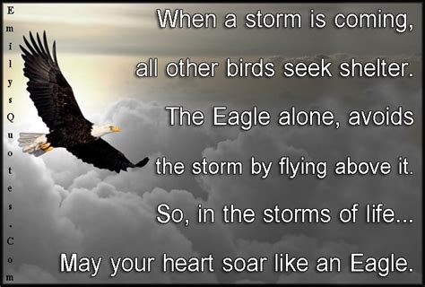 Quotes about Eagles (151 quotes)