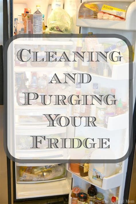 Free Refrigerator Clean Out Checklist | Clean refrigerator, Freezer organization, Cleaning printable