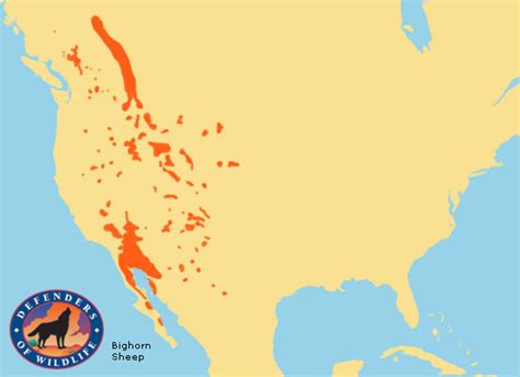 Range Map: Bighorn Sheep