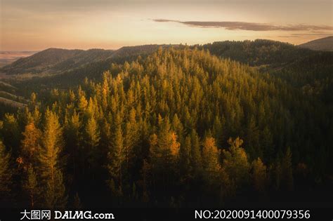 大山中的森林美景高清摄影图片_大图网图片素材