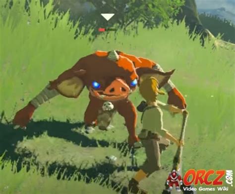 Breath of the Wild: Bokoblin - Orcz.com, The Video Games Wiki