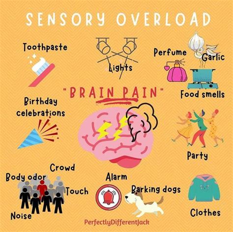 Sensory Stimuli | 5 Examples - Goally