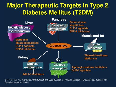 PPT - Emerging Type 2 Diabetes Treatment: Novel Therapy SGLT-2 ...