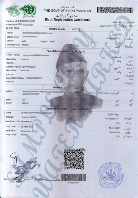 English Birth Certificate Sample, Sample Nadra Birth Certificate