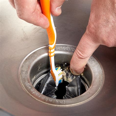 How to Clean Garbage Disposal (DIY) | Garbage disposal cleaning, Cleaning hacks, House cleaning tips