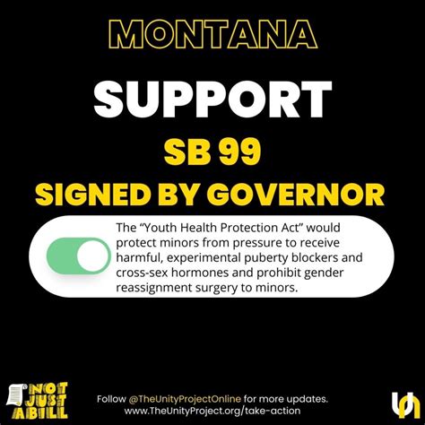 Montana Bills 2023 - Unity Project Online