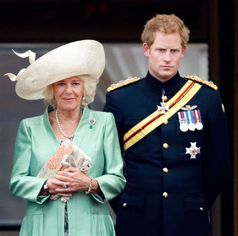 What Prince Harry Says About Camilla in Spare | TIME