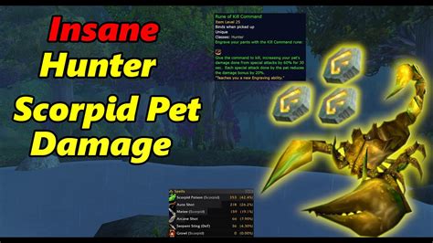 SOMEWHAT NERFED | SoD Hunter | Scorpid Pet INSANE Damage Guide - YouTube