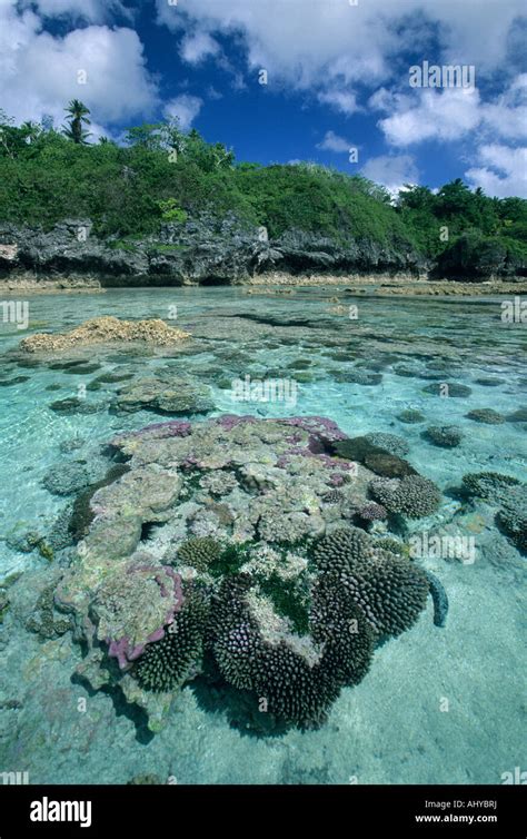 Coral Reef, Niue Island, South Pacific Stock Photo - Alamy