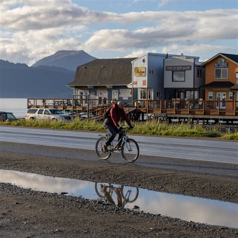 Pratt Museum | Homer, Alaska | Attractions - Lonely Planet