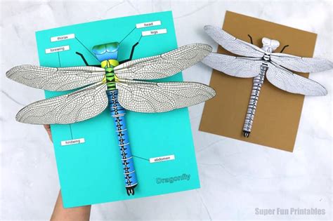 3D paper dragonfly - The Craft Train