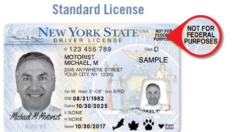 Real ID, enhanced NY driver's licenses: What New Yorkers need to know