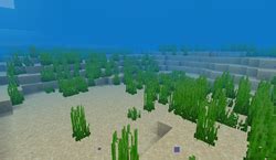 Ocean – Official Minecraft Wiki