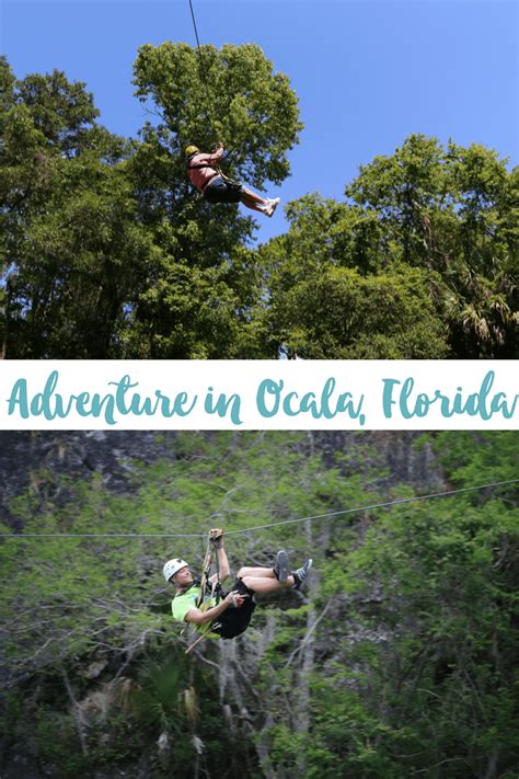 Go Ziplining in Ocala, Florida » Sunny Sweet Days