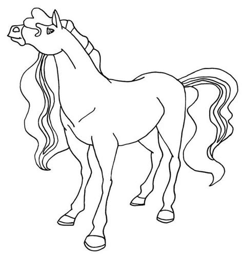 Cool Horse Coloring Pages PDF Printable - Coloringfolder.com