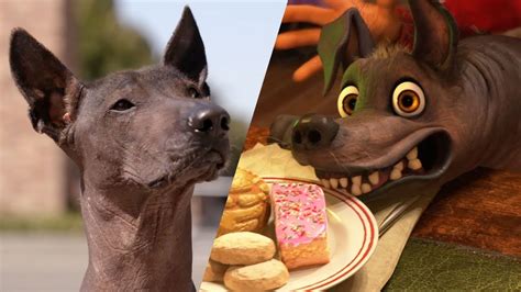 Xolo Tour of Pixar Animation Studios - National Dog Day - YouTube