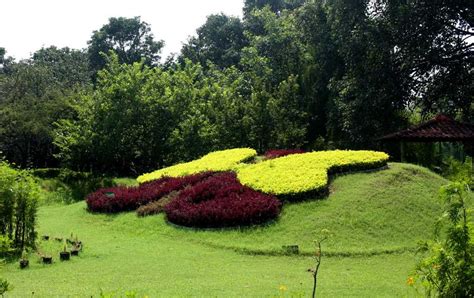 18 Beautiful Gardens & Parks in Chandigarh to Visit in (2024)