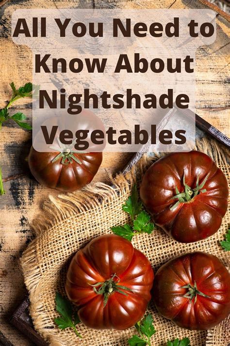 Are Vegetables From The Nightshade Family Bad For Dogs