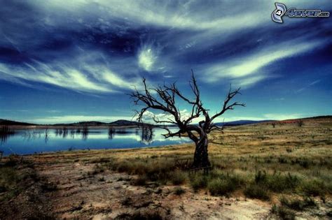 Arid desert landscape