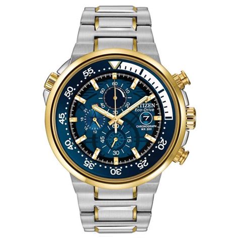 Men's Citizen Eco-Drive Endeavor Blue Dial Watch | REEDS Jewelers