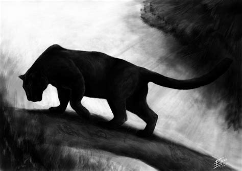 Panther Wallpaper Black Tiger - Parketis