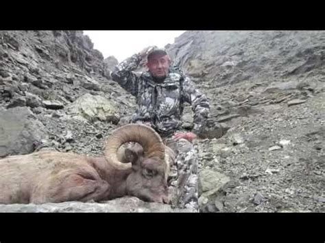 Koryak Snow sheep hunting with ProfiHunt - great snow sheep trophies ...