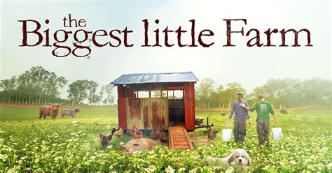 "The Biggest Little Farm" documentary (feat. Avett's song "Sun, Flood, or Drought") is now ...