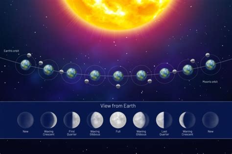 What Causes Moon Phases? (+ All 8 Moon Phases Explained)