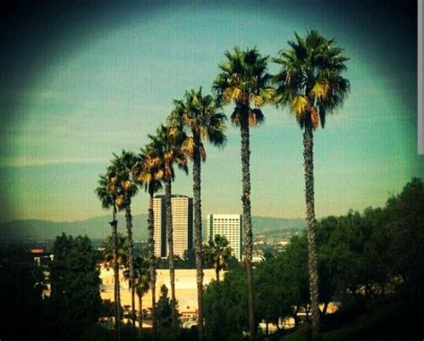 Toluca lake | Toluca lake, City of hollywood, San fernando valley